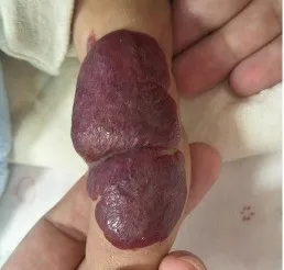 1589878571752903.jpg 640.webp (2).jpg