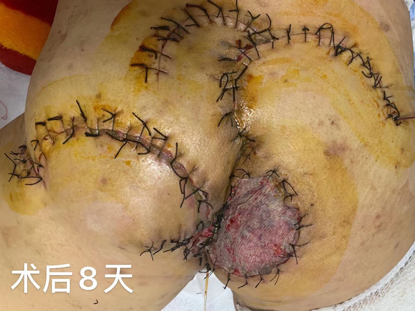 1612792386948745.jpg 7777.jpg