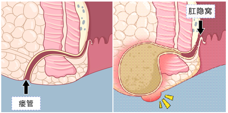 1640605246294720.jpg 1640605246294720.jpg