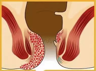 1641807640179370.jpg 8.jpg