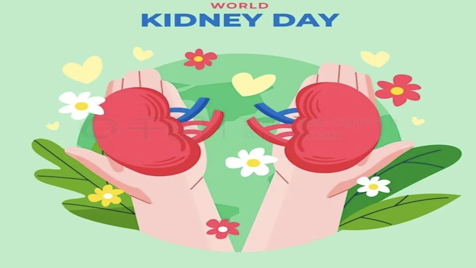 世界腎臟日：關(guān)愛腎臟，守護(hù)健康